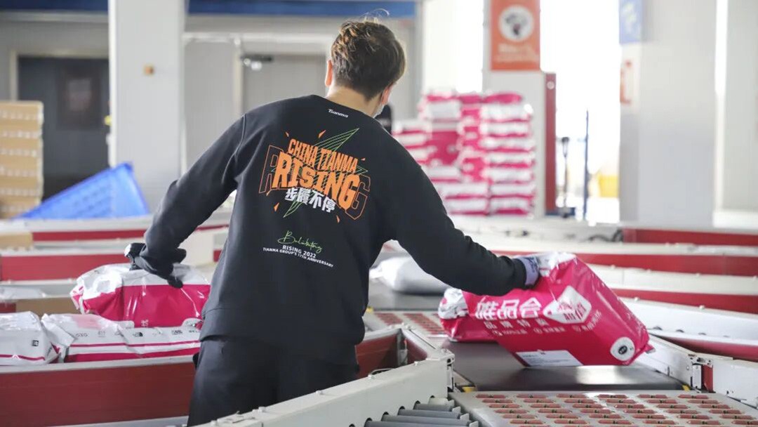 5bbc6d33-7de5-4c55-8ccd-59bfd4f79407